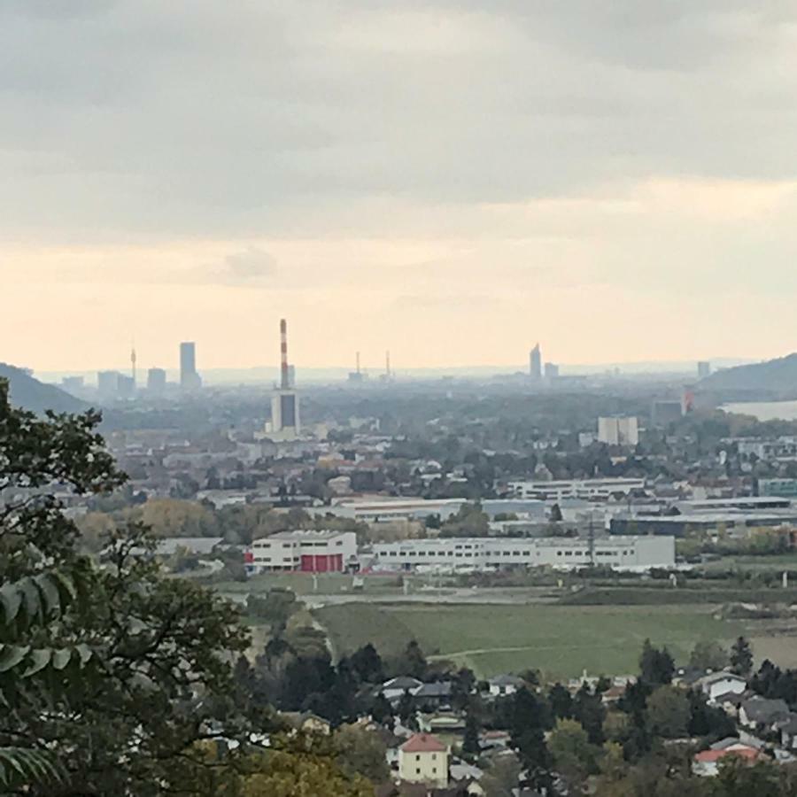 Lg Cosy Apartment Korneuburg Zewnętrze zdjęcie